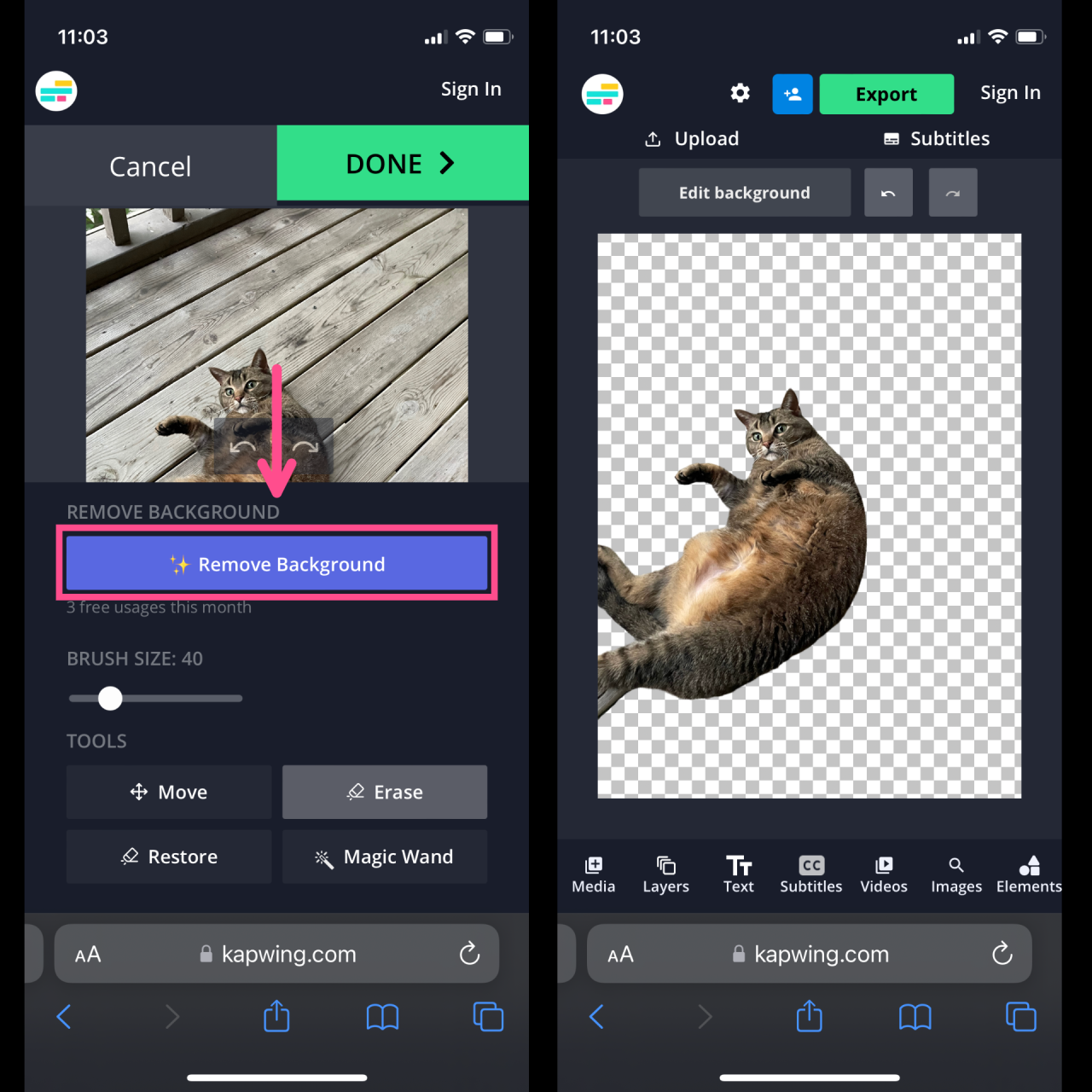 무료로 이미지에서 배경을 제거하는 최고의 도구 무료로 이미지에서 배경을 제거하는 최고의 도구